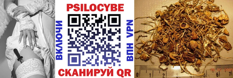 Галлюциногенные грибы Psilocybine cubensis  продажа наркотиков  Енисейск 